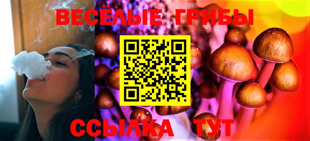 Семилуки  Галлюциногенные грибы GOLDEN TEACHER  Вход с VPN  Псилоцибиновые грибы MAGIC MUSHROOMS 